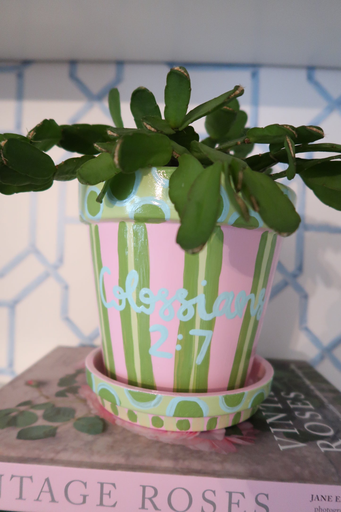 hand painted // colossians 2:7 flower pot